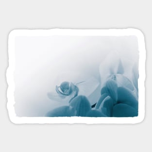 Orchid Flower Sticker